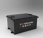 Chargeur de batterie au lithium 48V pour voiturette de golf